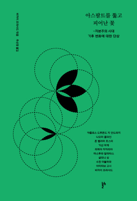 아스팔트를 뚫고 피어난 꽃