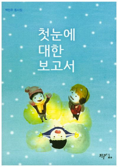 첫눈에 대한 보고서