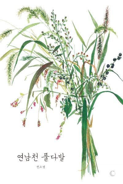 연남천 풀다발(양장본 Hardcover)