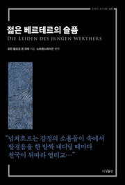 젊은 베르테르의 슬픔(클래식 오디세이 6)