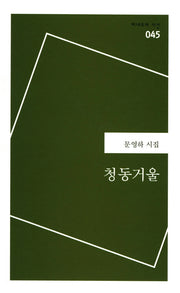 청동거울(미네르바 시선 45)