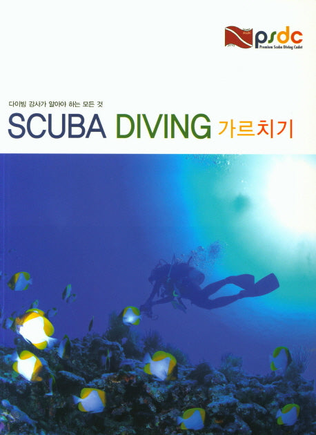 Scuba Diving 가르치기