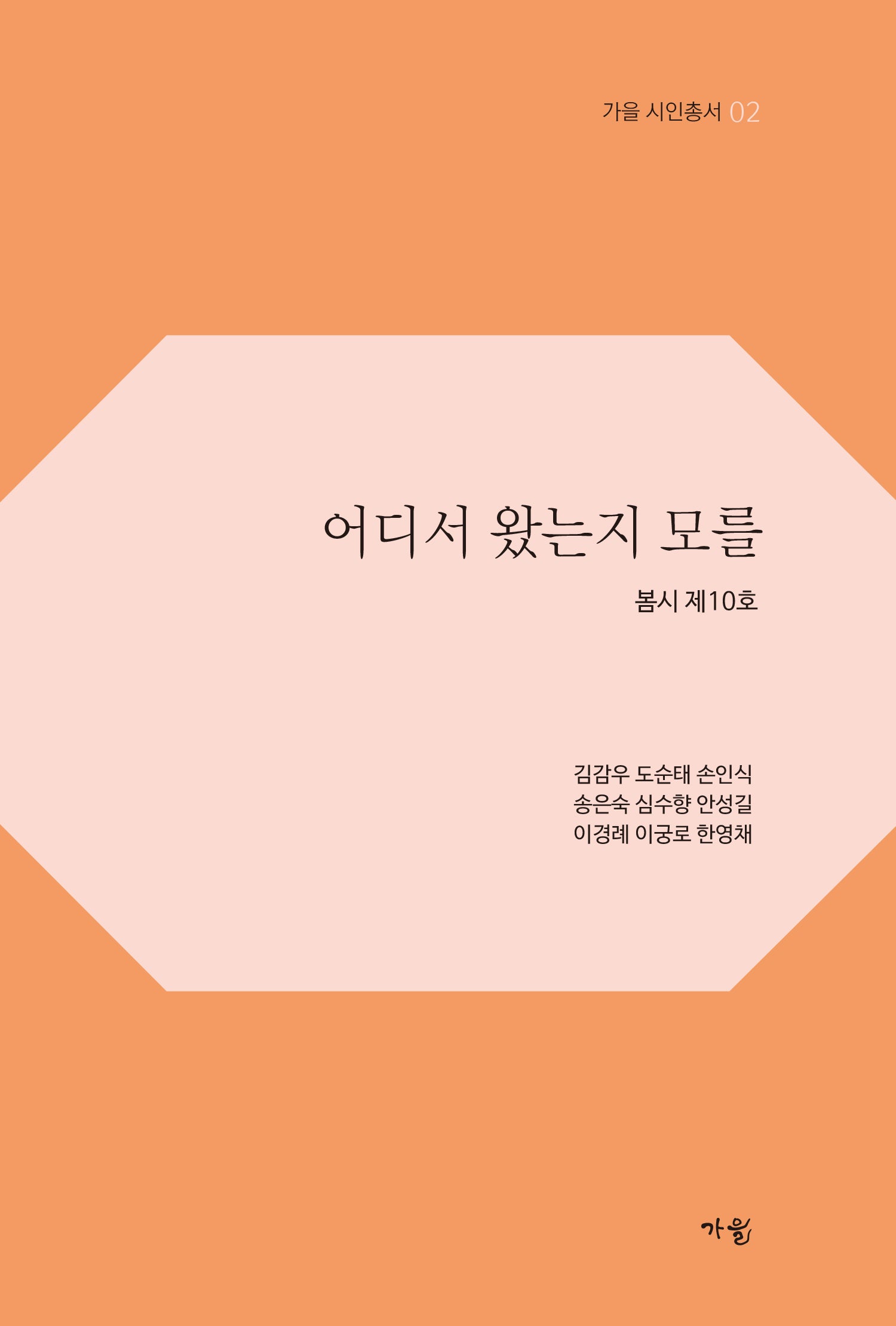 어디서 왔는지 모를(가을 시인총서 2)