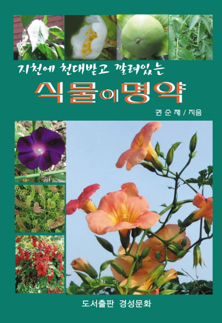 지천에 천대받고 깔려있는 식물이 명약(양장본 HardCover)