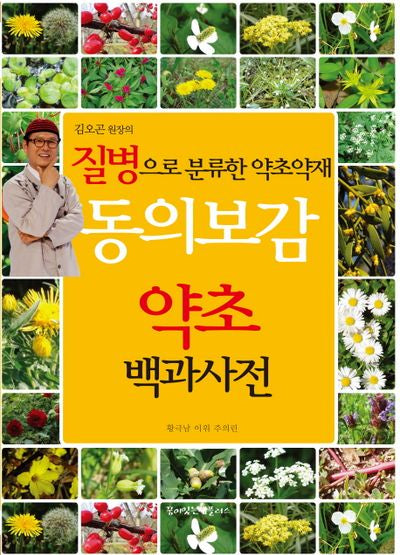동의보감 약초 백과사전