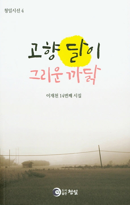 고향 달이 그리운 까닭(청일시선 4)