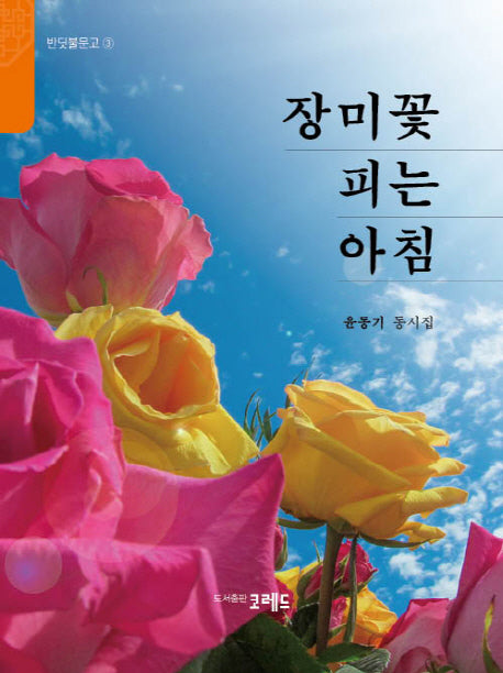 장미꽃 피는 아침(반딧불문고 3)