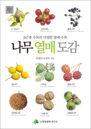 나무 열매 도감