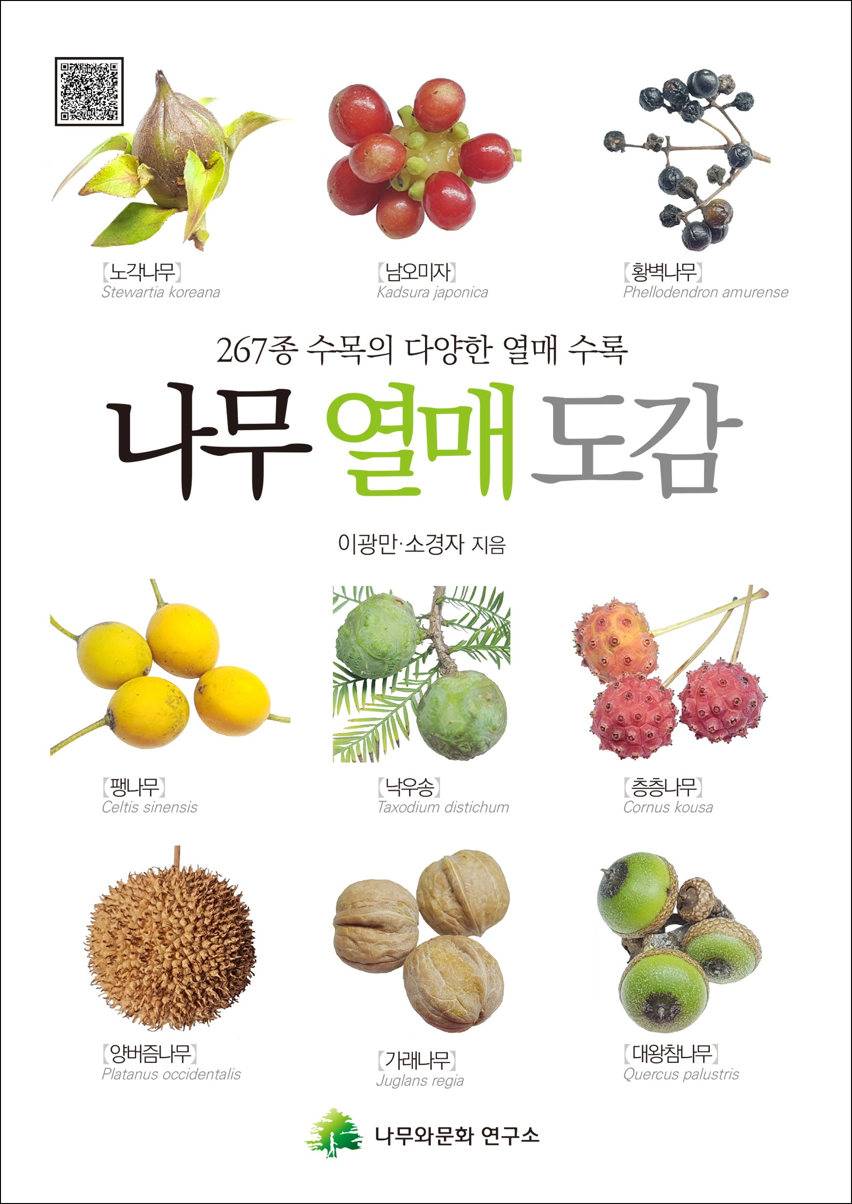 나무 열매 도감