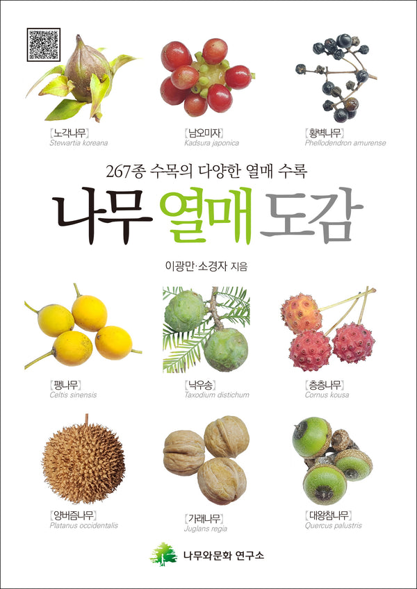 나무 열매 도감