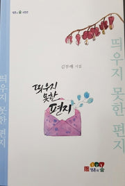 띄우지 못한 편지(영혼의 숲 시인선)
