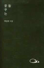 꿈꾸는 돌