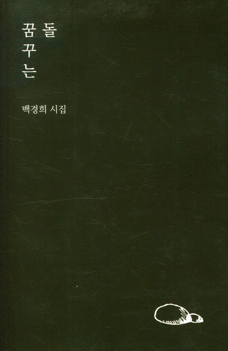 꿈꾸는 돌