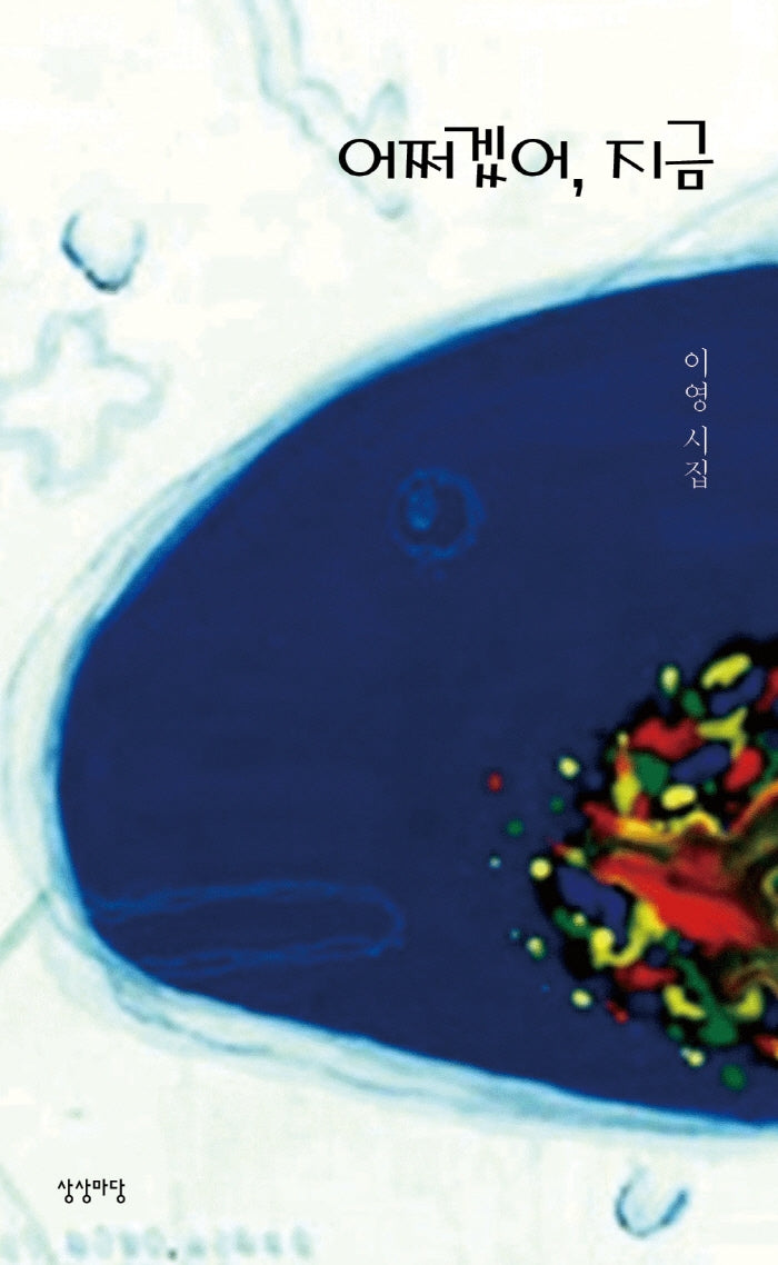 어쩌겠어, 지금