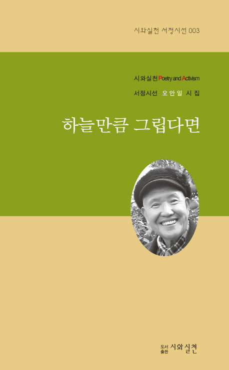 하늘만큼 그립다면(시와실천 서정시선 3)