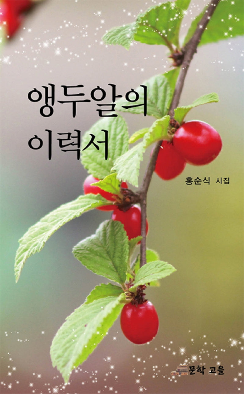 앵두알의 이력서