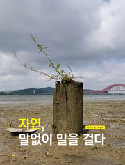 자연, 말없이 말을 걸다(양장본 Hardcover)