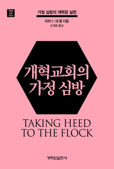 개혁교회의 가정 심방(개혁된 실천 시리즈)