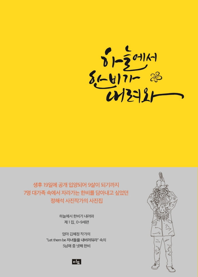 하늘에서 한비가 내려와(양장본 Hardcover)
