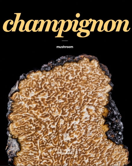 버섯(champignon)(The mentoring cookbook)(양장본 Hardcover)