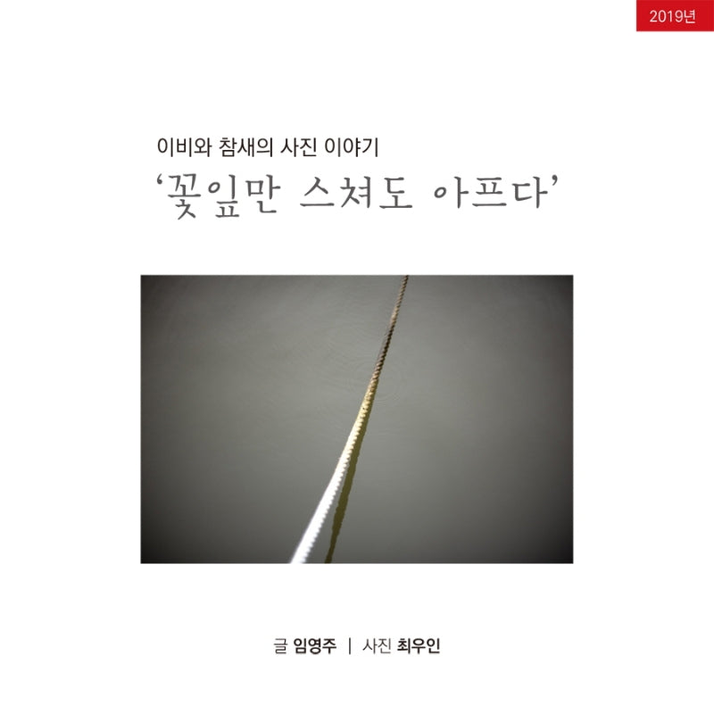 이비와 참새의 사진이야기: 꽃잎만 스쳐도 아프다