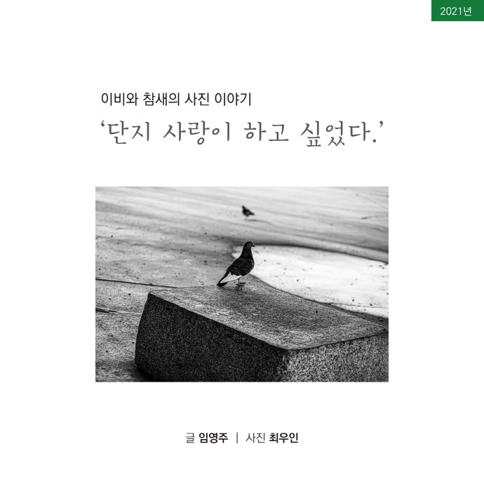 이비와 참새의 사진이야기