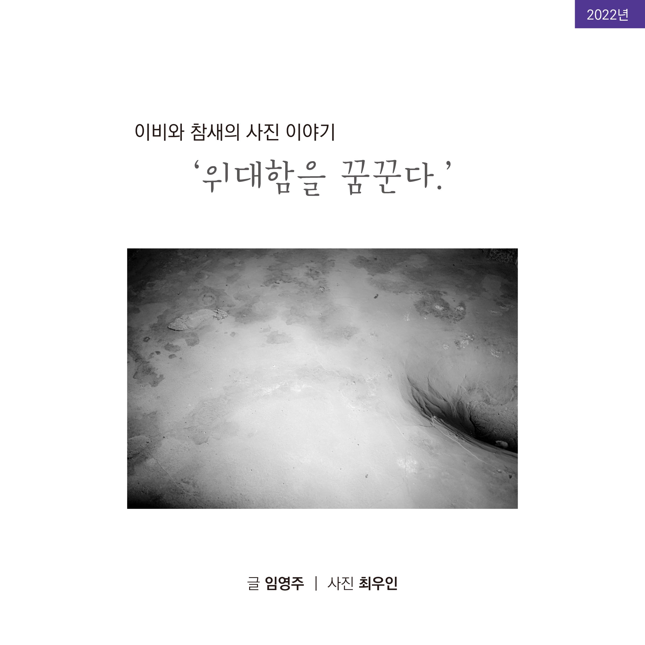 이비와 참새의 사진이야기