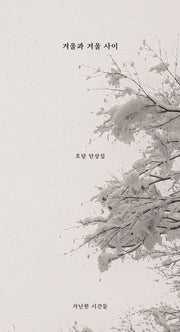 겨울과 겨울 사이