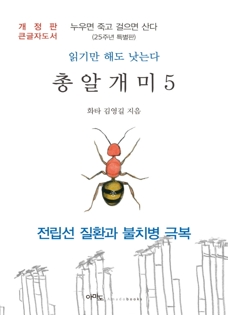 총알개미 5(큰글자도서)