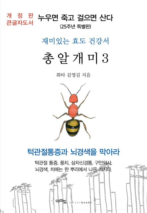 총알개미 3(큰글자도서)(개정판)
