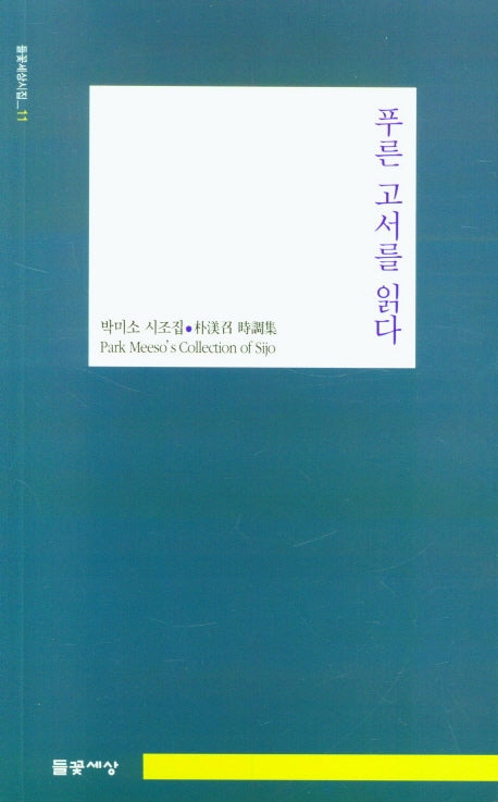 푸른 고서를 읽다(들꽃세상시집 11)
