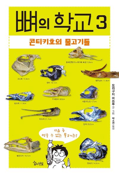 뼈의 학교 3: 콘티키호의 물고기들