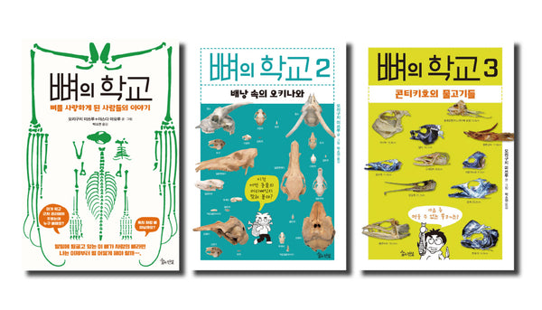 뼈의 학교 1-3권 세트(전3권)