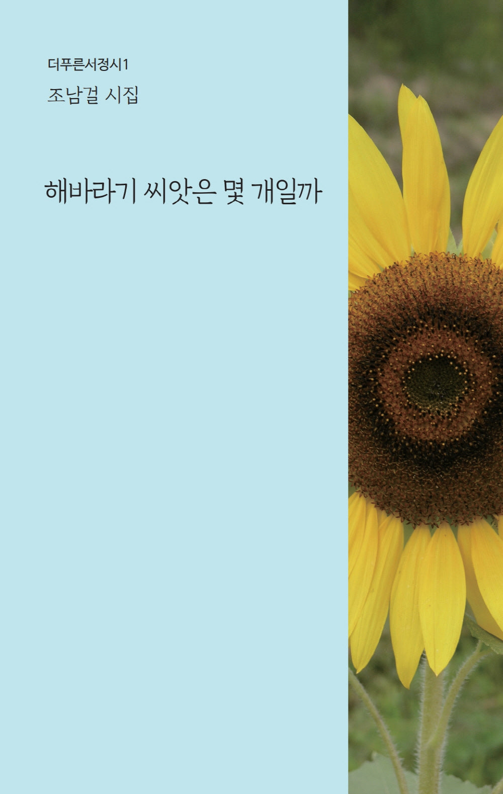 해바라기 씨앗은 몇 개일까(더푸른서정시 1)