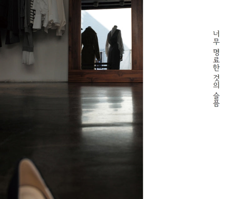 너무 명료한 것의 슬픔