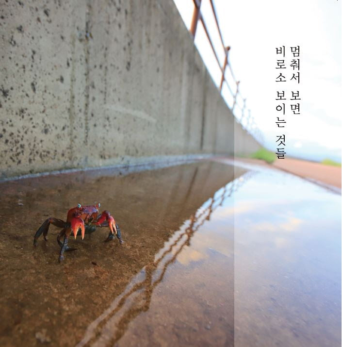 멈춰서 보면 비로소 보이는 것들