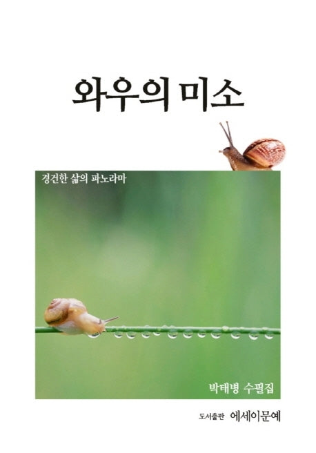와우의 미소