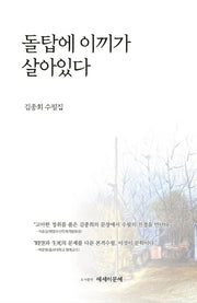 돌탑에 이끼가 살아있다