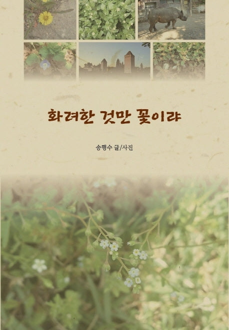 화려한 것만 꽃이랴