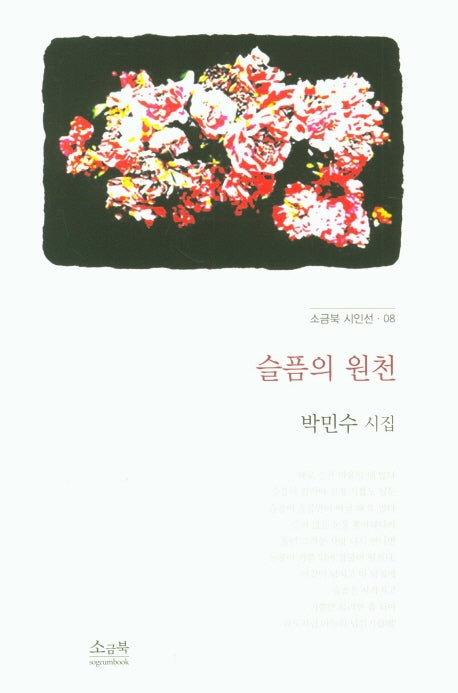 슬픔의 원천(소금북 시인선 8)