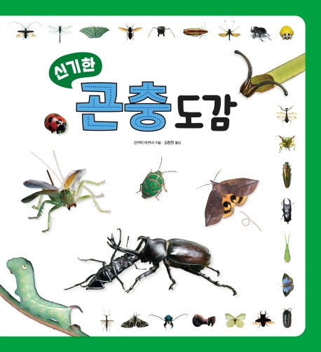 신기한 곤충 도감(양장본 HardCover)