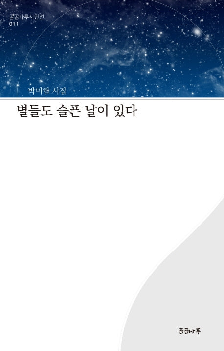 별들도 슬픈 날이 있다(곰곰나루시인선 11)