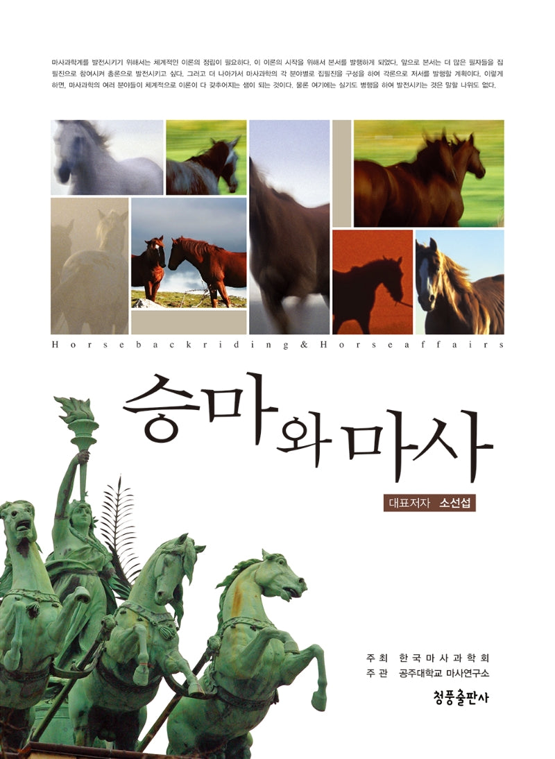 승마와 마사