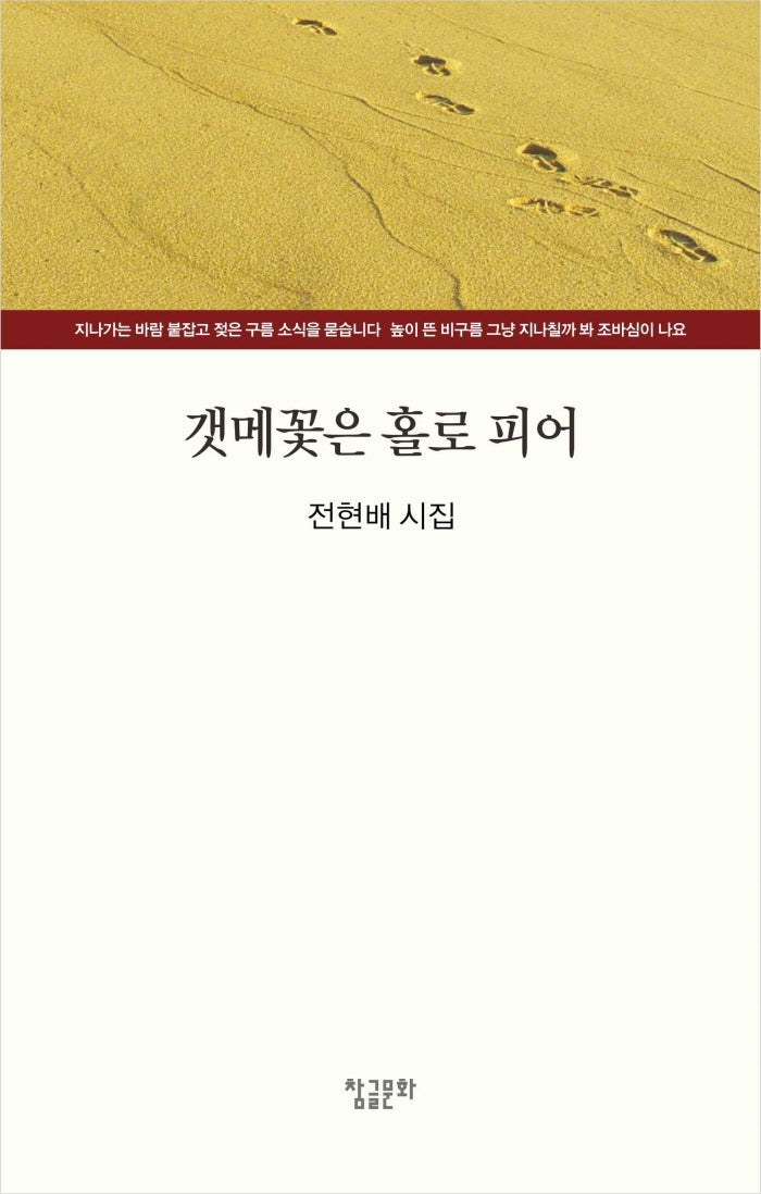 갯메꽃은 홀로 피어(양장본 HardCover)