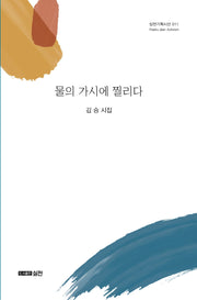물의 가시에 찔리다(실천기획시선 11)