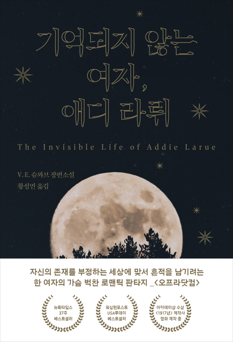 기억되지 않는 여자, 애디 라뤼(반양장)