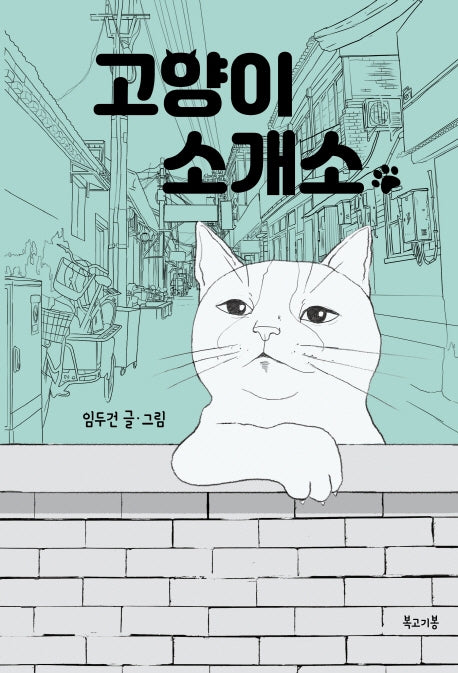 고양이 소개소