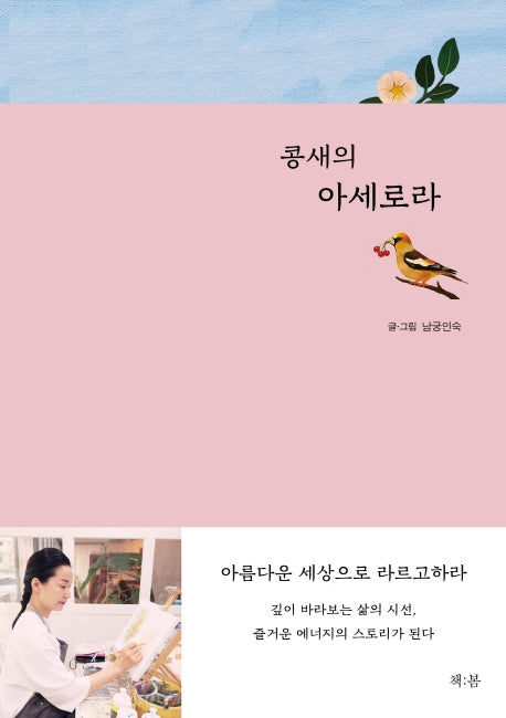 콩새의 아세로라