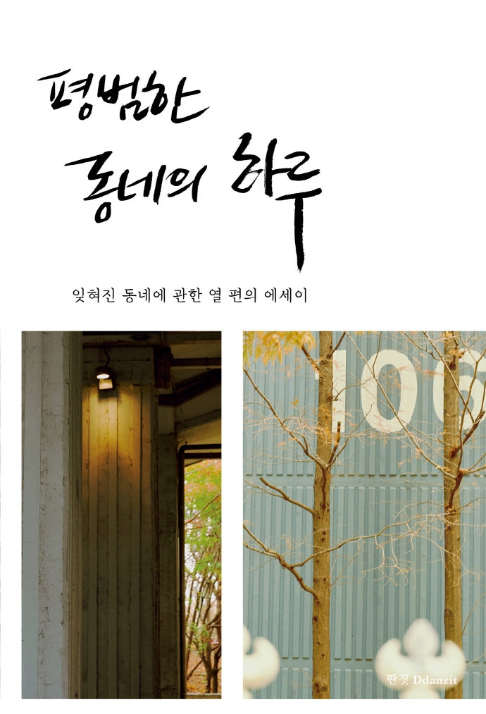 평범한 동네의 하루