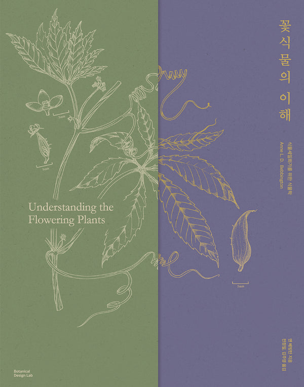 꽃식물의 이해(양장본 Hardcover)
